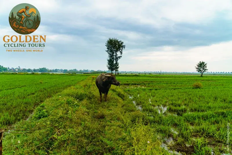 Hue Bike Tour to Thuy Bieu Village: Eco Biking & Cooking Tour